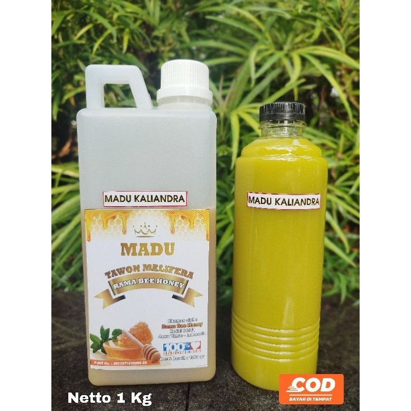 

Sega Tungtung 1 Kg Madu Kaliandra Madu Asli Raw Honey