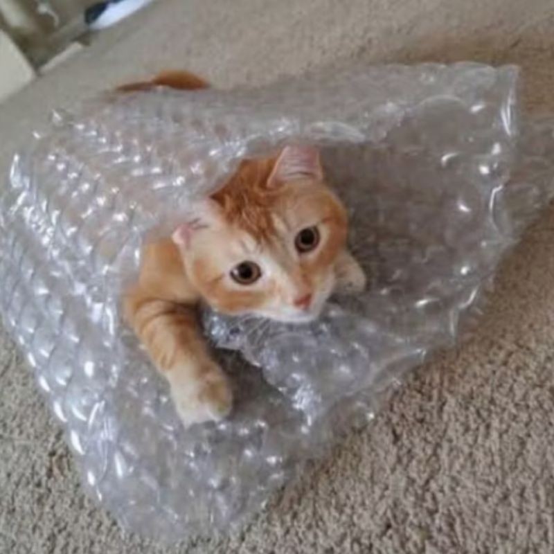 

Sega Tungtung Keripik Usus Ayam Premium 250Gr Enak Renyah Pasti Gurih/Usus Ayam Crispy 250Gr