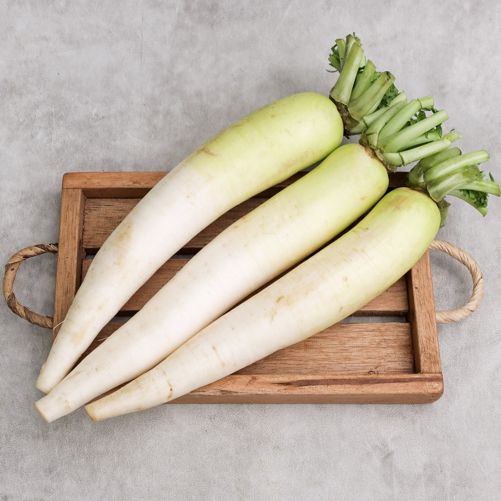

White Raddish Konvensional 1 kg