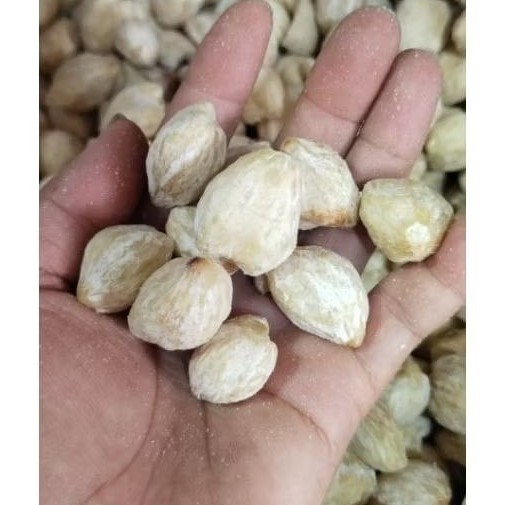 

KEMIRI MEDAN BULAT, KEMIRI UTUH 1 kg