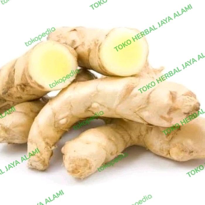 

Terlaris Kunyit/Temu Putih Segar 1Kg Curcuma Zedoaria Obat Herbal Alami
