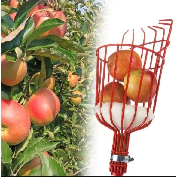 Alat Pemetik Galah Buah Metal Fruit Picker Bantu Petik Pengambil Buah