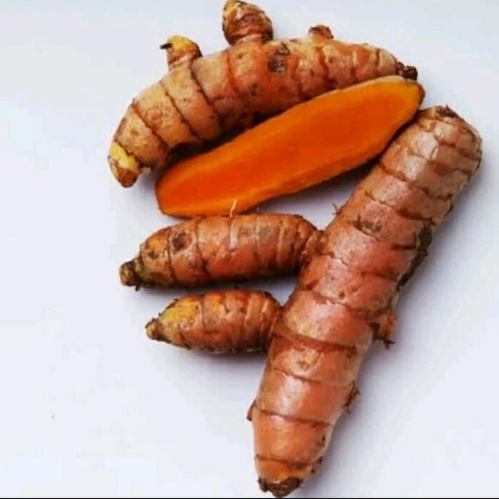 

Terlaris Kunyit / Koneng Segar Dan Besar 500Gr