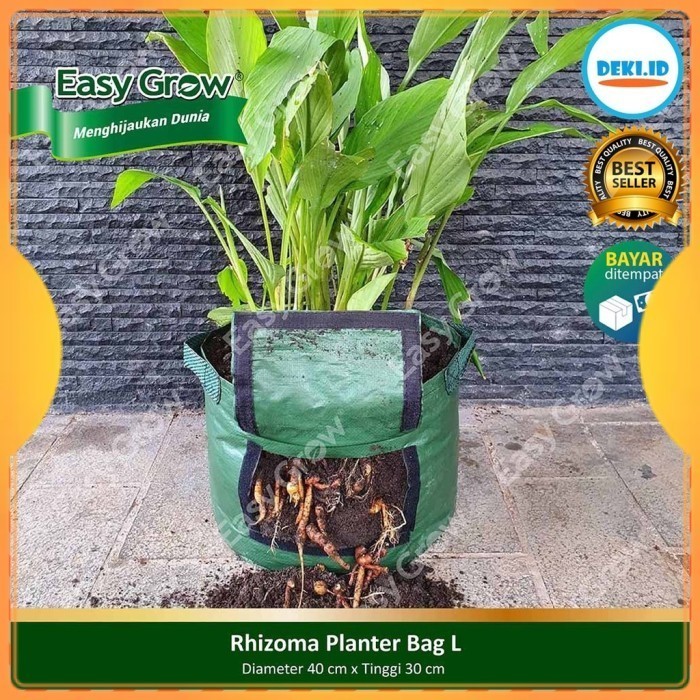 

Terlaris Planter Rhizoma Easy Grow L Planterbag Bag Easygrow Kunyit Jahe
