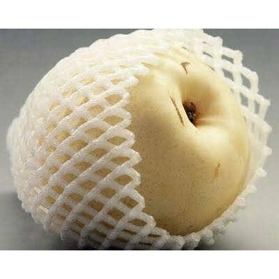 FOAM NET KECIL/JARING BUAH/BUSA BUAH/POLYNET/KEMASAN APEL/BUNGKUS PIR