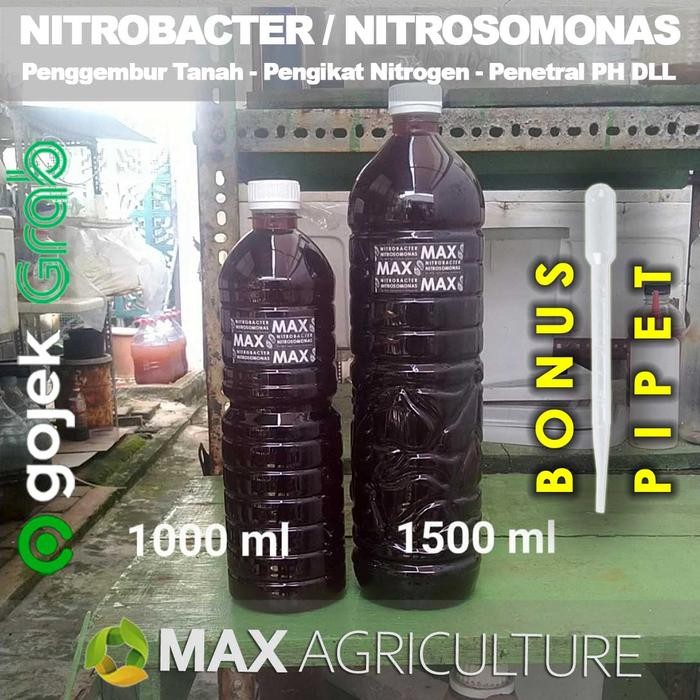 Biang Nitrobacter Nitrosomonas Pertanian Tanaman Pembenah Tanah 1 lt