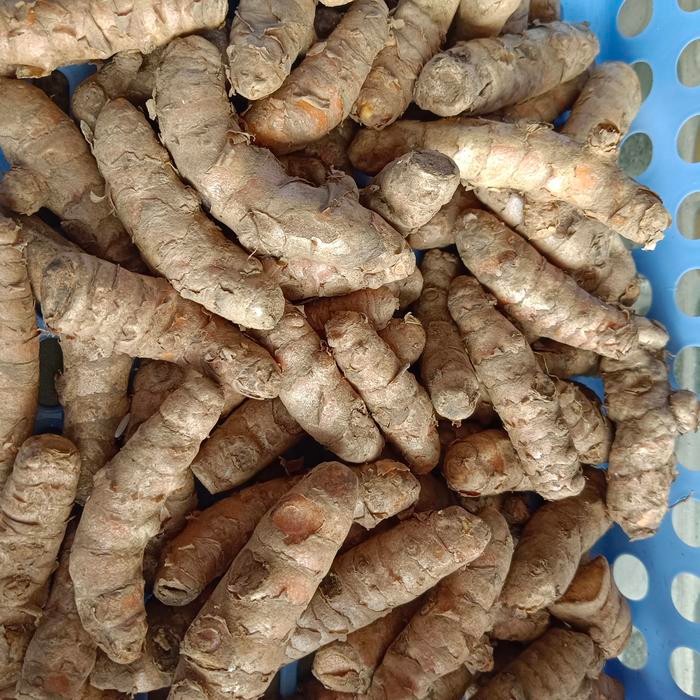 

Terlaris Kunyit Bersih Segar 250 Gram