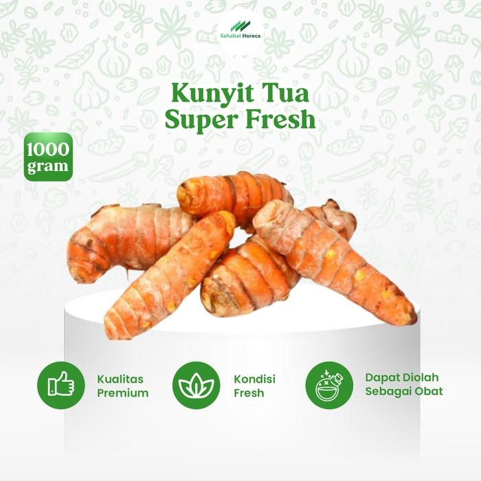 

Terlaris Kunyit Tua Super Fresh 1000Gr - 01 Kunir Jumbo Fresh Bersih