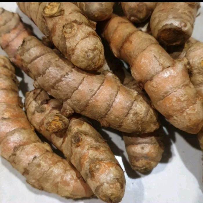 

Terlaris Kunyit/Kunir Segar