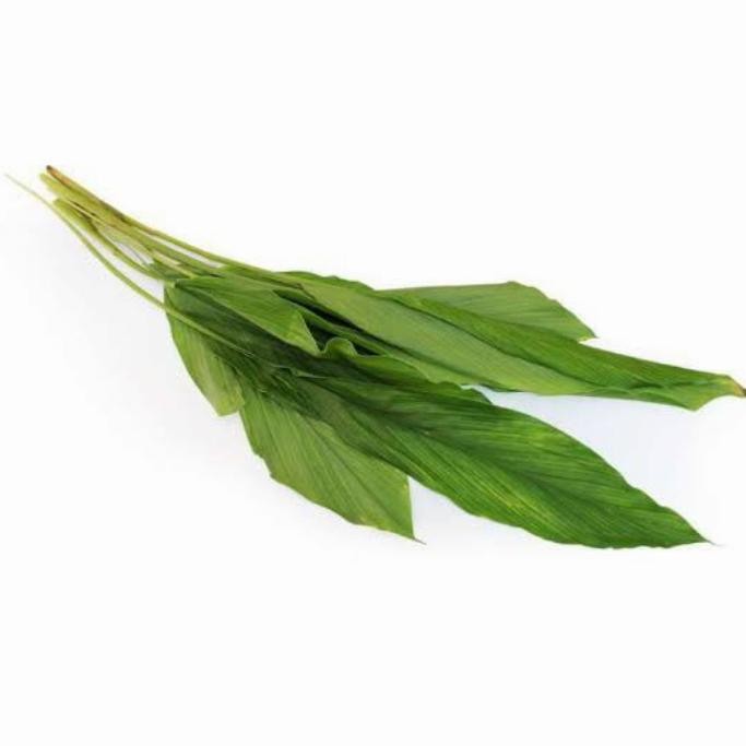 

Terlaris Daun Kunyit Segar 1 Ikat