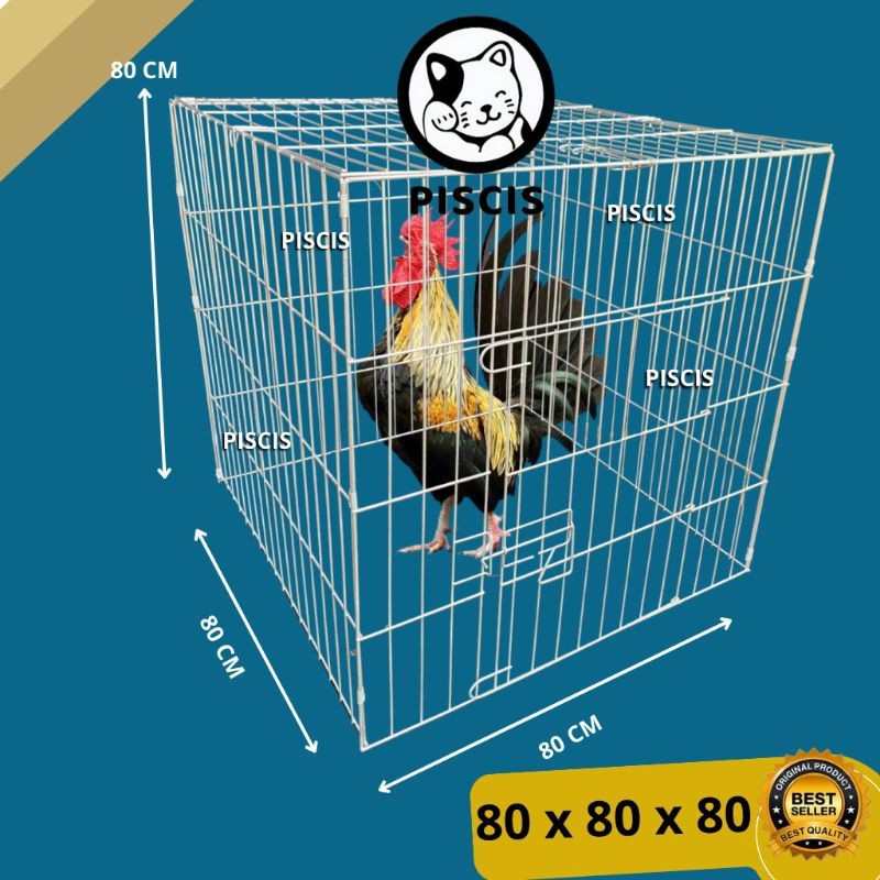 KANDANG AYAM BANGKOK JEMURAN UKURAN 80x80x80 Galvanis Model Kotak