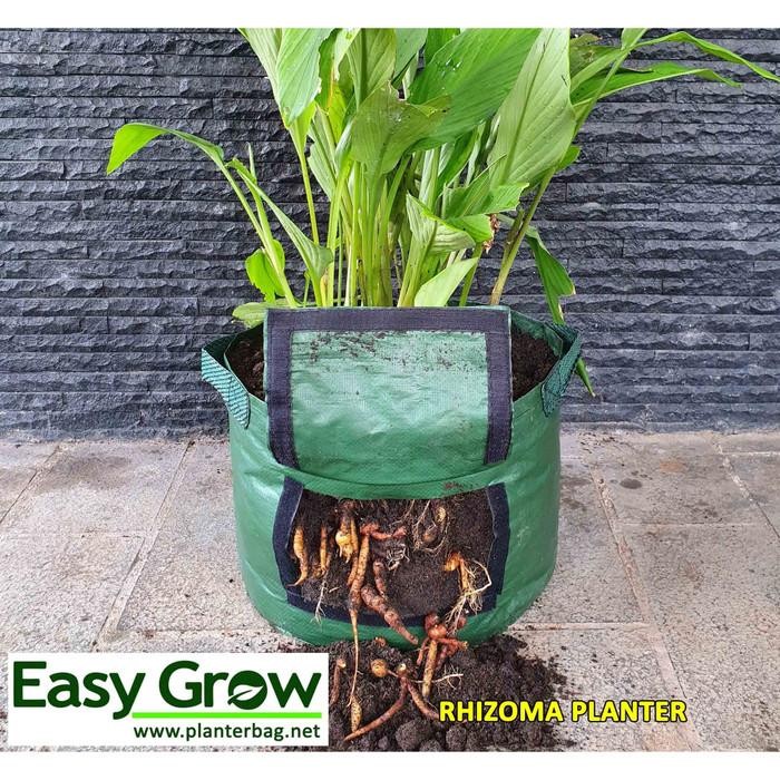 

Terlaris Rhizoma Planter Bag - L D40X30Cm Pot Jahe, Kunyit, Lengkuas Easygrow