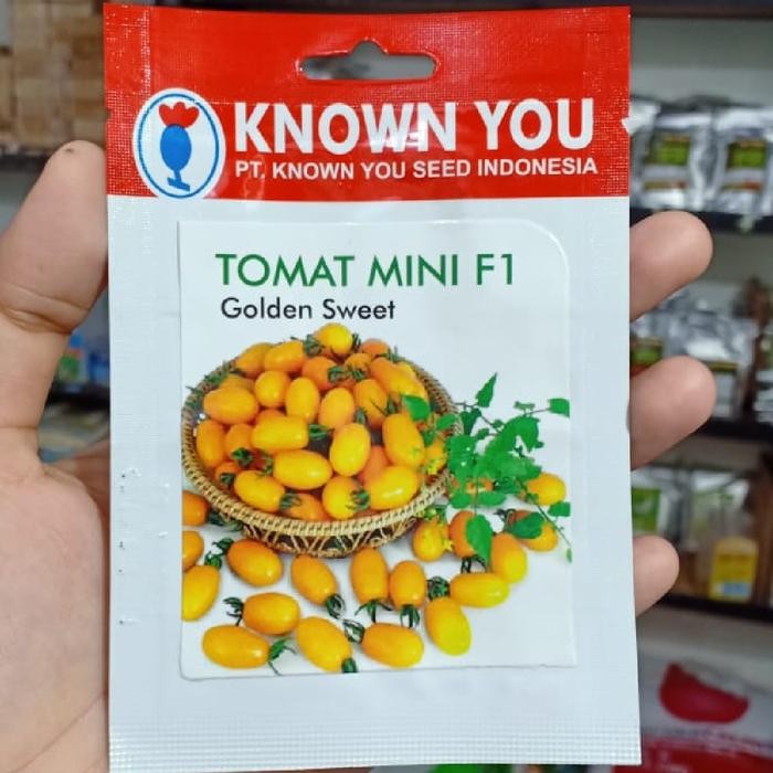 TERMURAH tomat cherry golden sweet