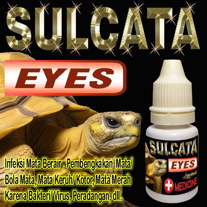 SULCATA EYES OBAT TETES MATA CENTROCHELYS SULKATA TORTOISE REPTILE KURA-KURA DARAT MENGOBATI MATA