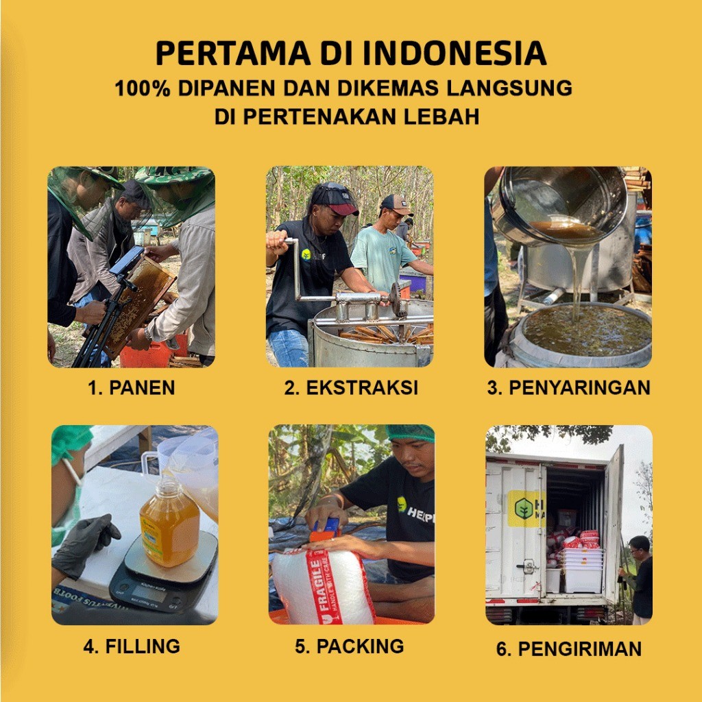 

Konter Makanan Herpil Madu Lebah 330 Gram, Madu Murni Fresh Nektar Multiflora 100% Dikemas Di