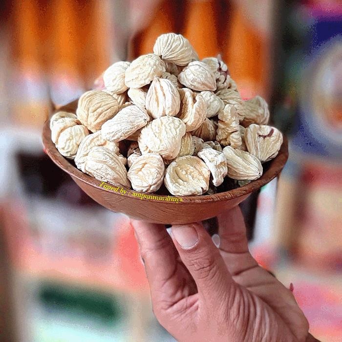 

Kacang lakci super berkualitas New