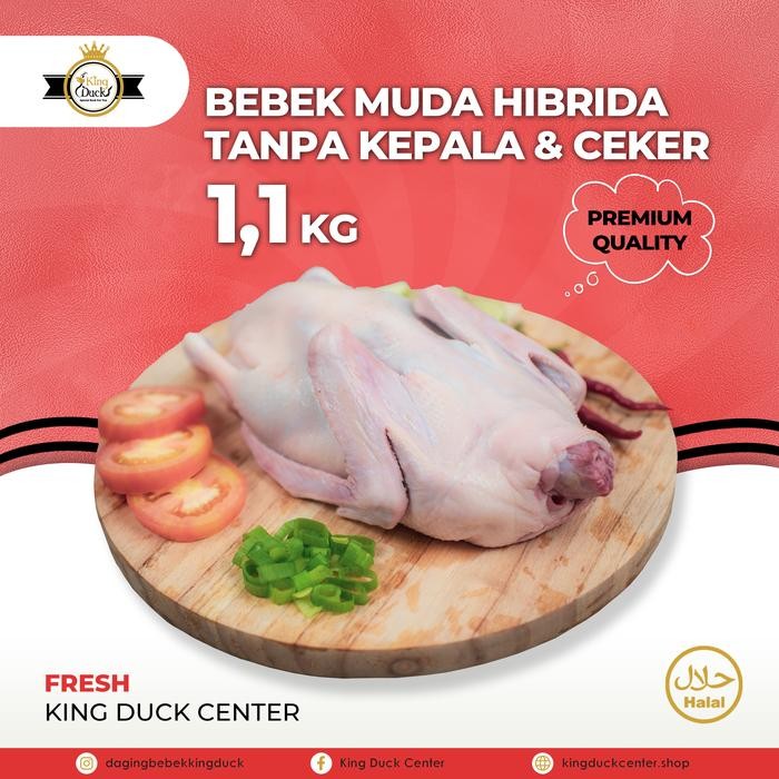 

DAGING BEBEK HIBRIDA 1,1 KG TANPA KEPALA New
