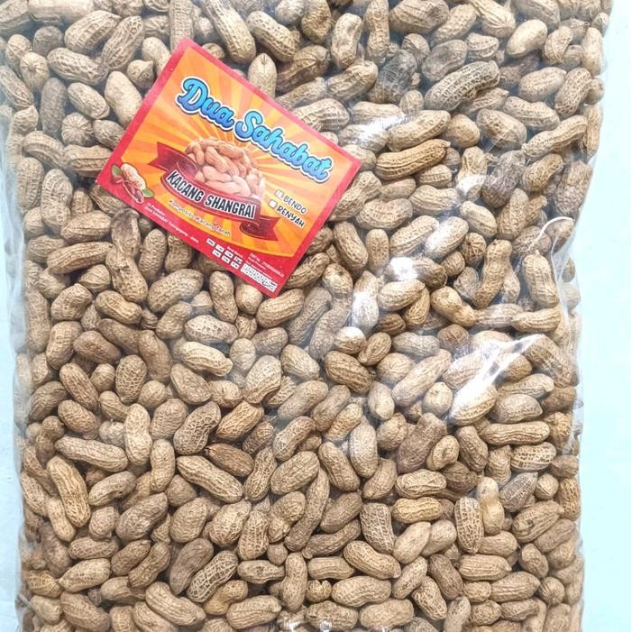 

Kacang Kulit Sangrai 1Kg Gurih Renyah Fresh Camilan Kacang Goreng Sangrai Kacang Sangrai Food Snacks