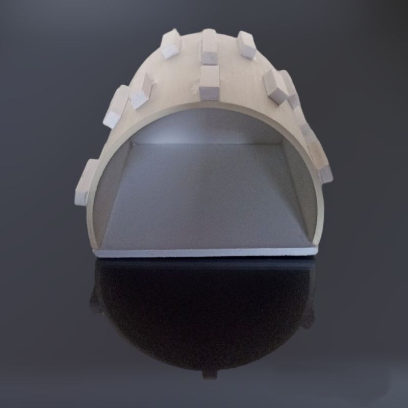 hiding cave gecko/rumah reptile