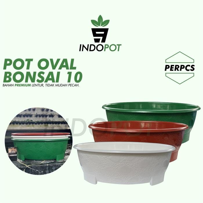 Pot Bonsai Oval 10 BJP Pot Bonsai Jumbo Pot Oval Tanaman Hias