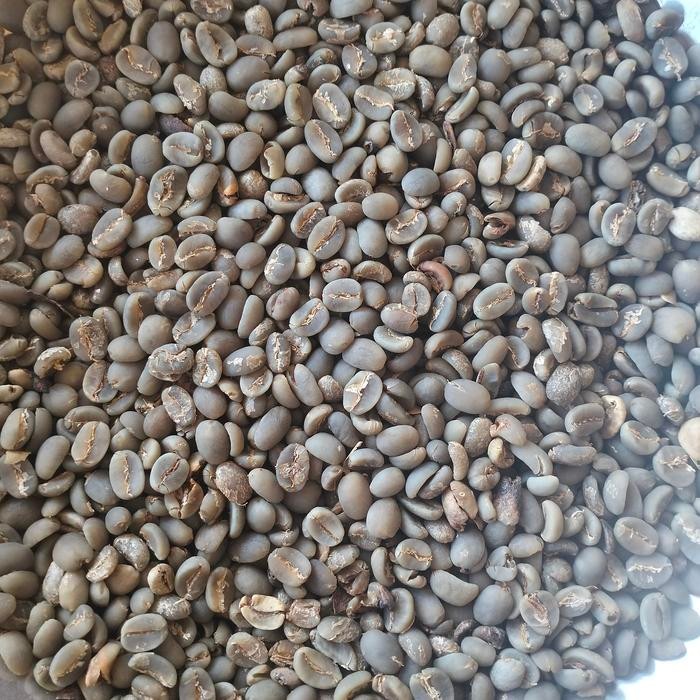 

GREAN BEAN ARABICA SULAWESI - BIJI KOPI MENTAH KOMERSIAL 1 KG