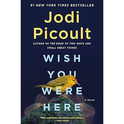 

New Release_Eng/Indo_Wish You Were Here: A Novel