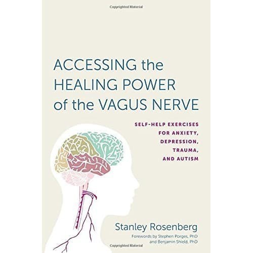 

New Release_Eng/Indo_ Accessing the Healing Power of the Vagus Nerve-Stanley Rosenberg