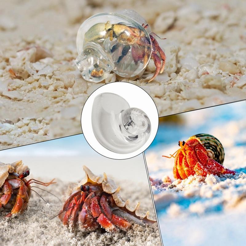 Hermit Crab House Clear Glass Conch Shells For Hermit Crab Fish Tank Ornaments Spiral Shells Art