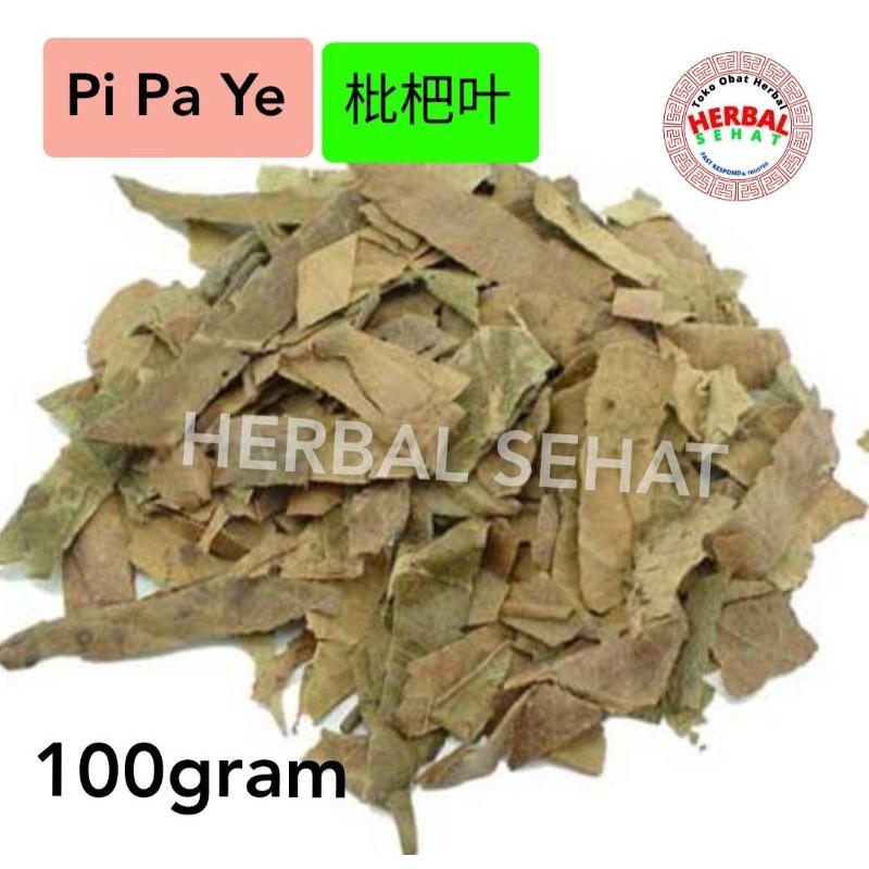 

100 gram - Pi Pa Ye Loquat Leaf Folium Eriobotryae Japonicae - PHI PHA JAP PREMIUM