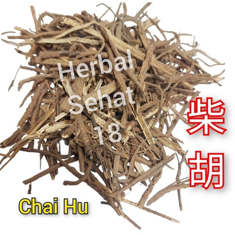 

100 gram Gang Chai Hu Chaihu / Chai Fu Chaifu Cai Hu Caihu Caifu / Thorowax Root Bupleurum PREMIUM