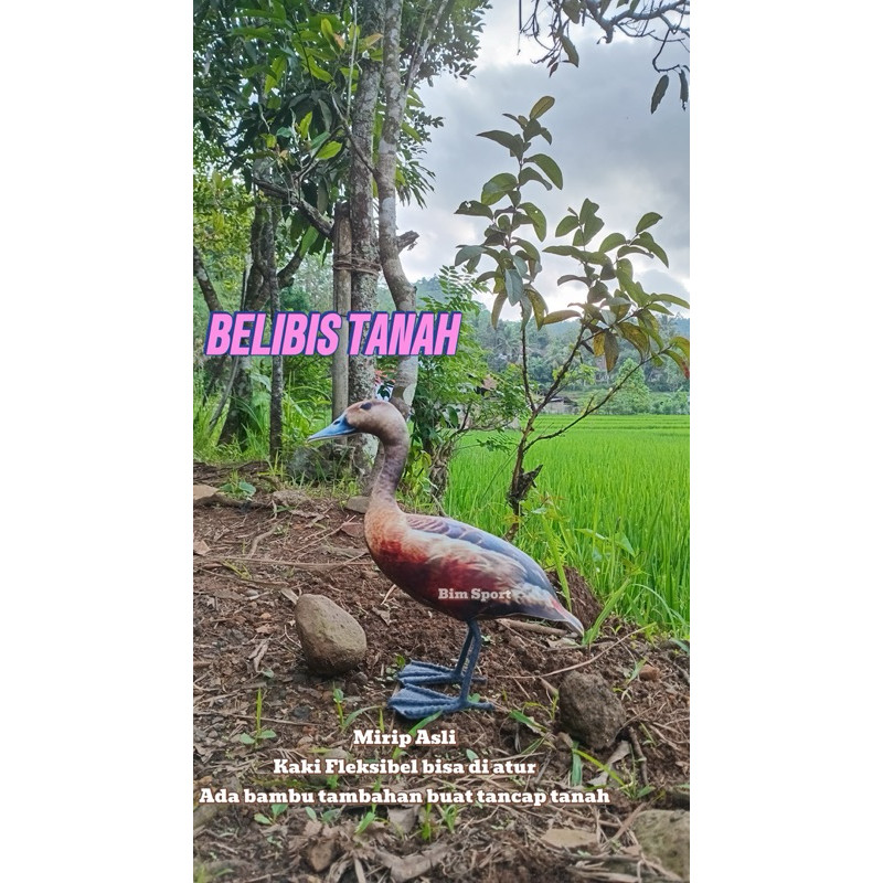 Jontrot patung Belibis Kembang