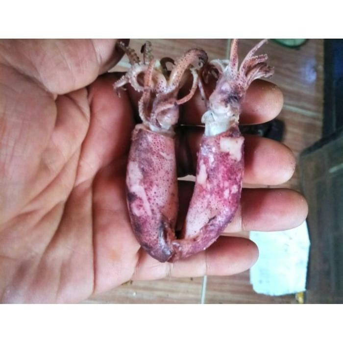 

Cumi Asin Basah 500 Gr Best Seller