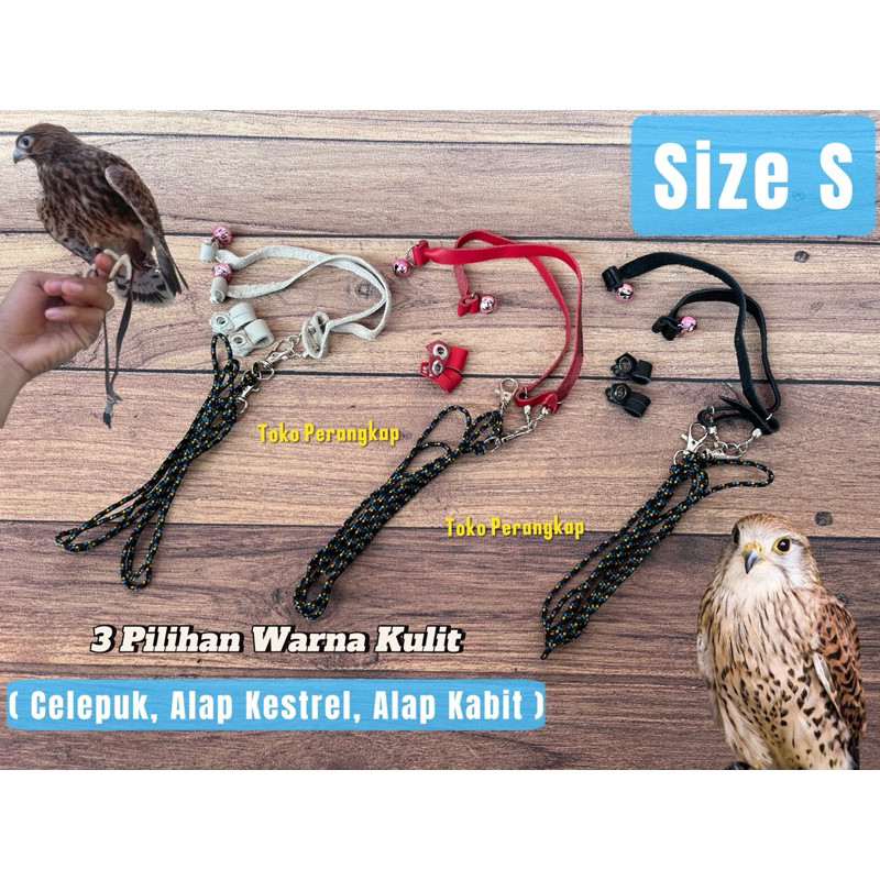 Anklet Tali Kaki Burung Celepuk alap kabit kestrel