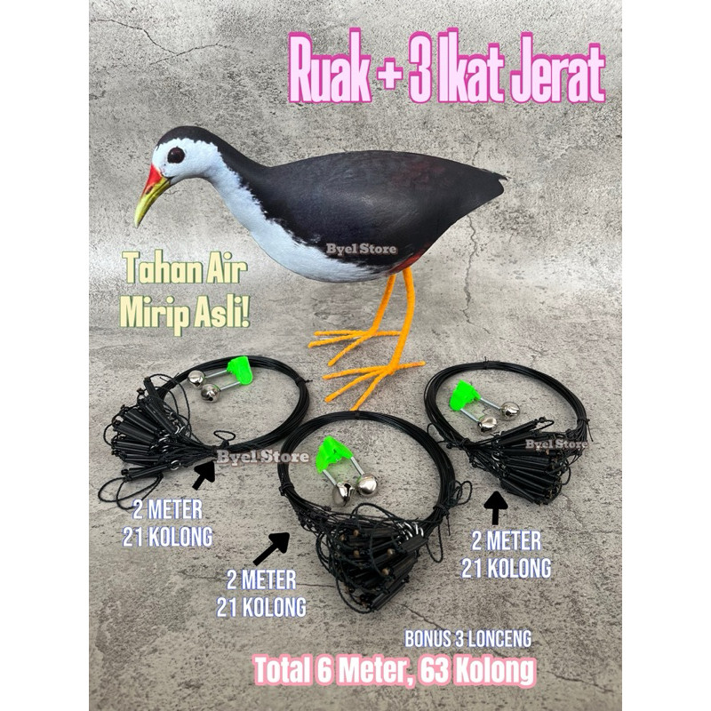 Jebakan Racik Burung Ruak Ruak Jerat Wakwak