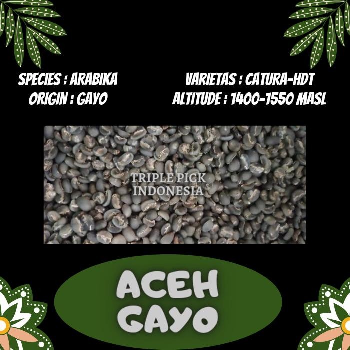 

Green bean / Biji kopi Arabika gayo - wethull TERMURAH