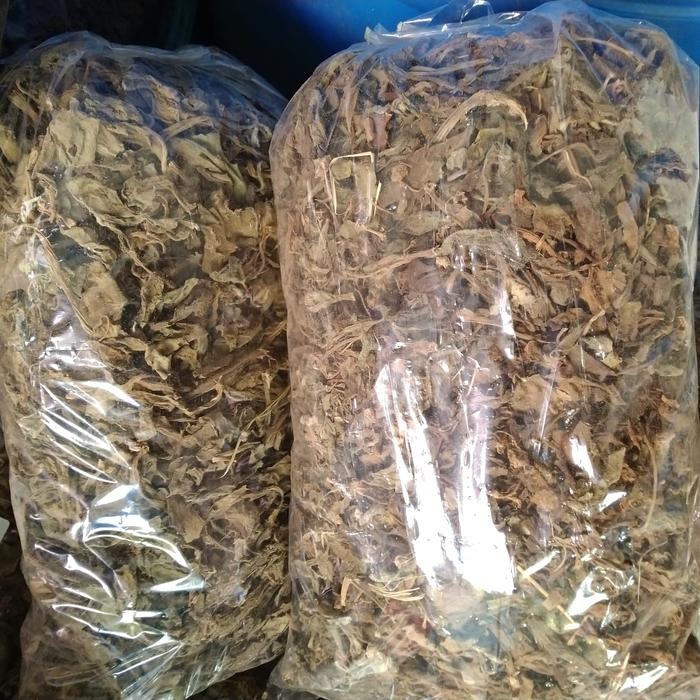 

TERMURAHH!! Daun Dewa Kering 250gr