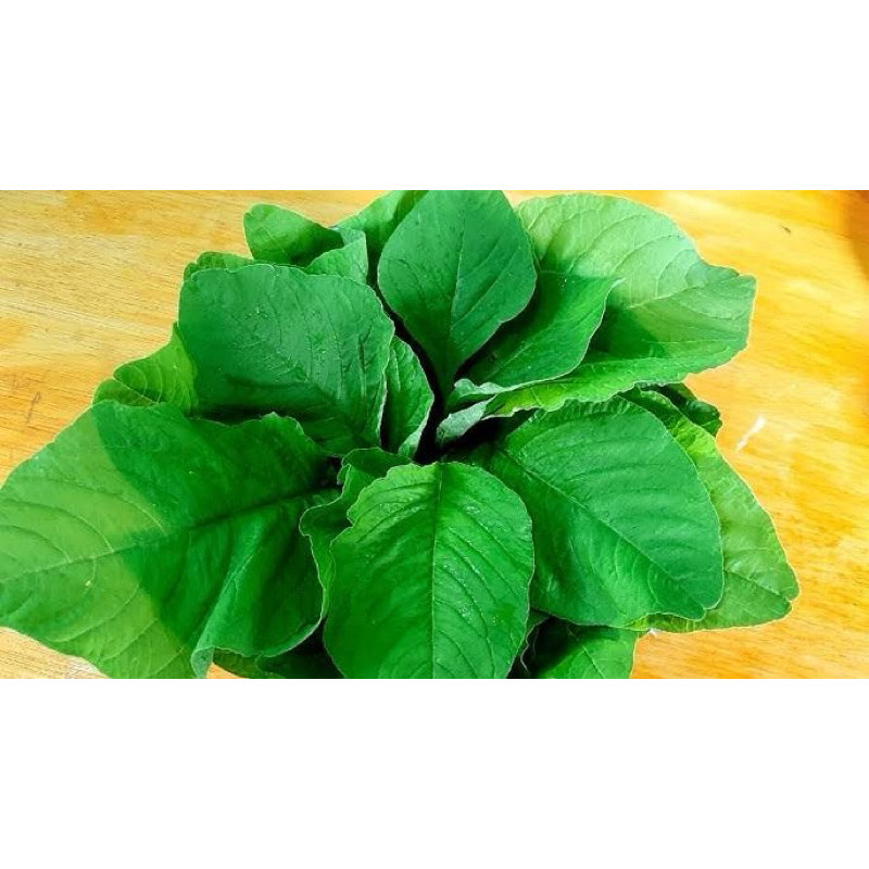 

Olivoliv Snack Keripik Bayam Super Crispy 150G Gurih Renyah