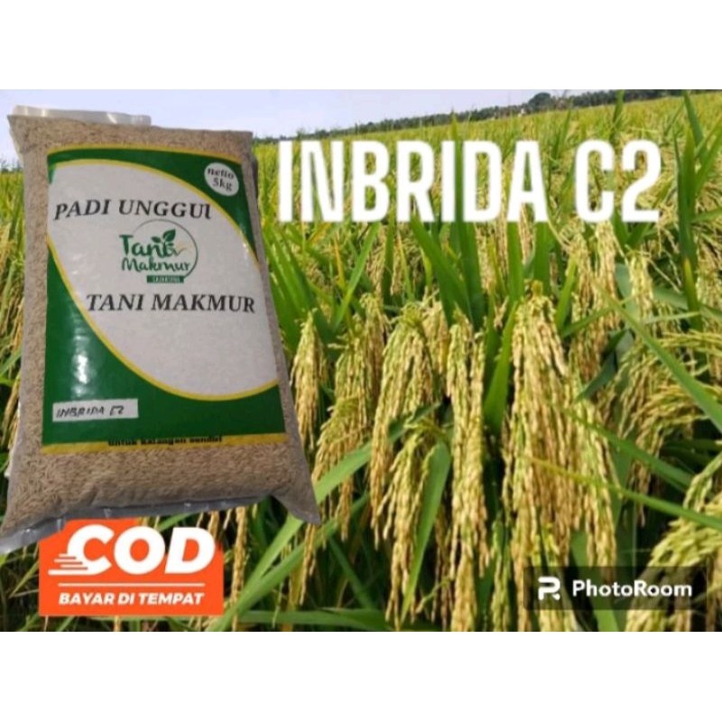 Happygardens Benih Padi Inbrida C2 5Kg Original