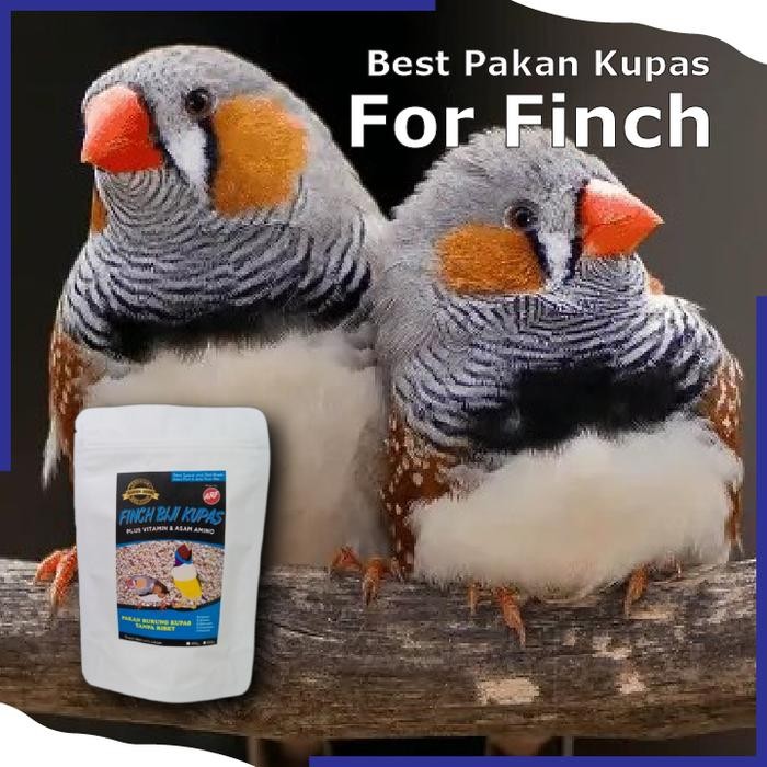 Murni Petshop - Pakan Burung Finch Tanpa Kulit Untuk Burung Zebra,Emprit Jepang Dll