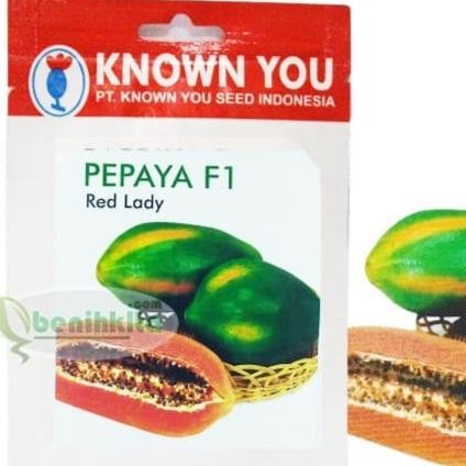 Ready Stock Benih-Bibit Pepaya Bangkok Red Lady F1 (Known You Seed)