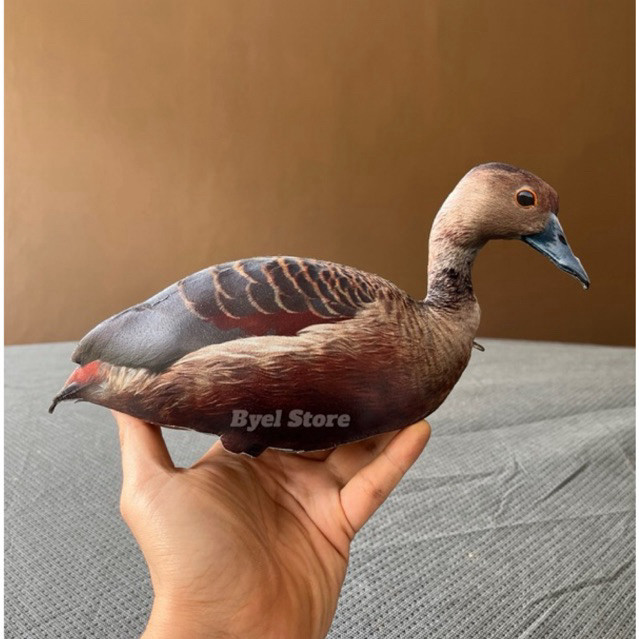 Alat pikat Jontrot Burung Belibis Polos - Belibis Batu