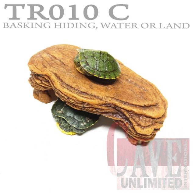 TR010C BASKING TANGKRING KURA-KURA AIR TURTLE RES BRAZIL CST AST AMBON RAZOR DAMER PIPUT ALIGATOR