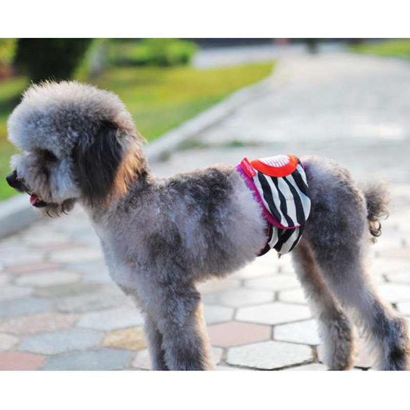 Manner Belt Anjing Jantan / Popok Anjing / Celana Anjing Jantan