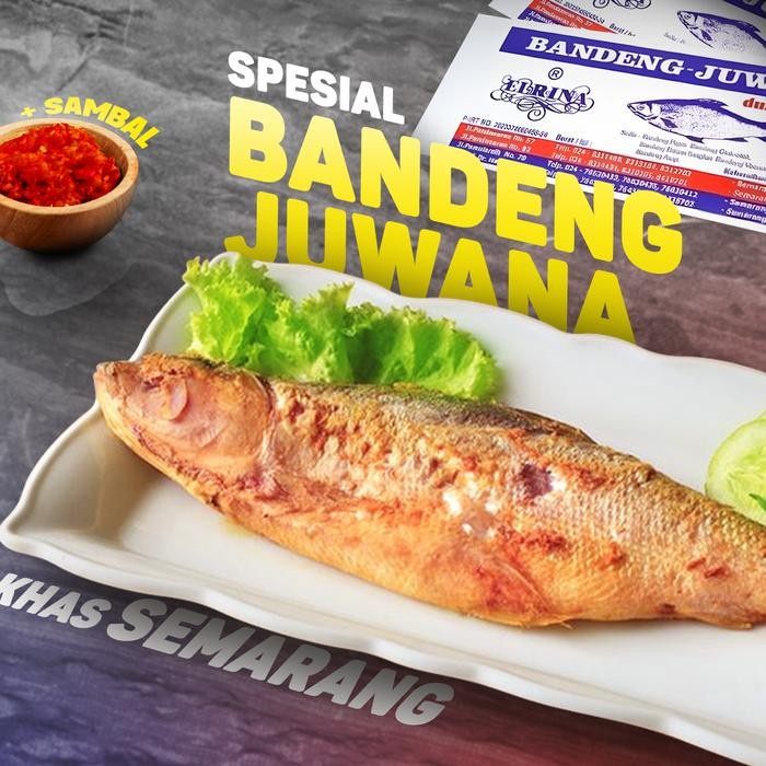 

Bandeng Presto Tulang Lunak Juwana Elrina Semarang 1 Box 2 Ekor Ikan Seafood Promo