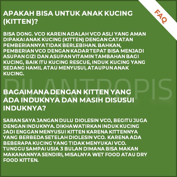 MINYAK VCO KUCING KAREIN OBAT JAMUR KUCING SPRAY SKABIES KURAP GUDIK KUDIS GUDIG KUCING ANJING AMPUH