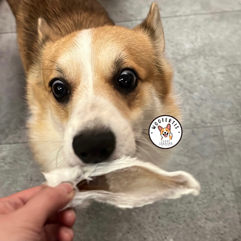 Woofertis Rabbit Ear Dehydrated Kuping Telinga Kelinci Snack Anjing Chew