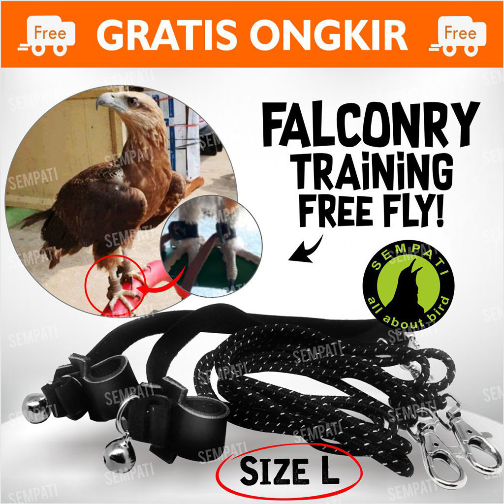 SEMPATI ANKLET CELEPUK SIZE LARGE ANGKLET CELEPUK TALI BURUNG HANTU ELANG BIDO BONDOL FALCONRY TYTO