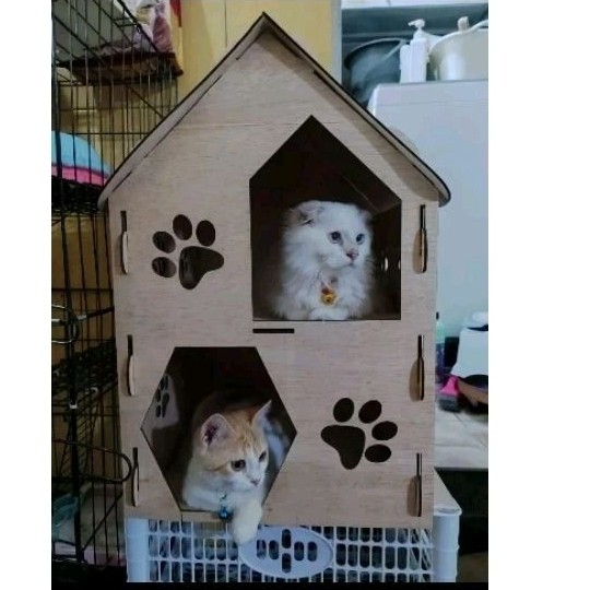 Kandang Rumah Kucing Kayu 2 Tingkat Murah Albasia Aman