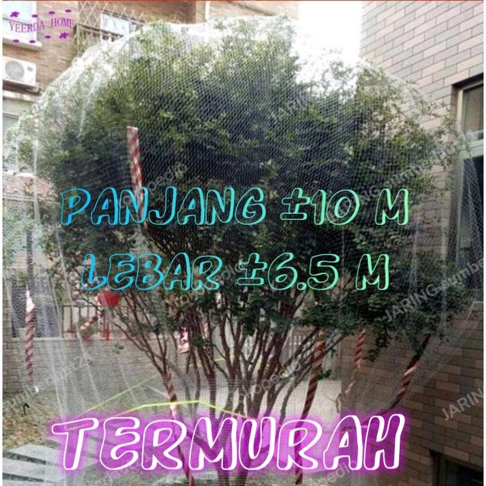 PREMIUM JARING POHON KLENGKENG JARING PENUTUP POHON JARING BUAH KLENGKENG