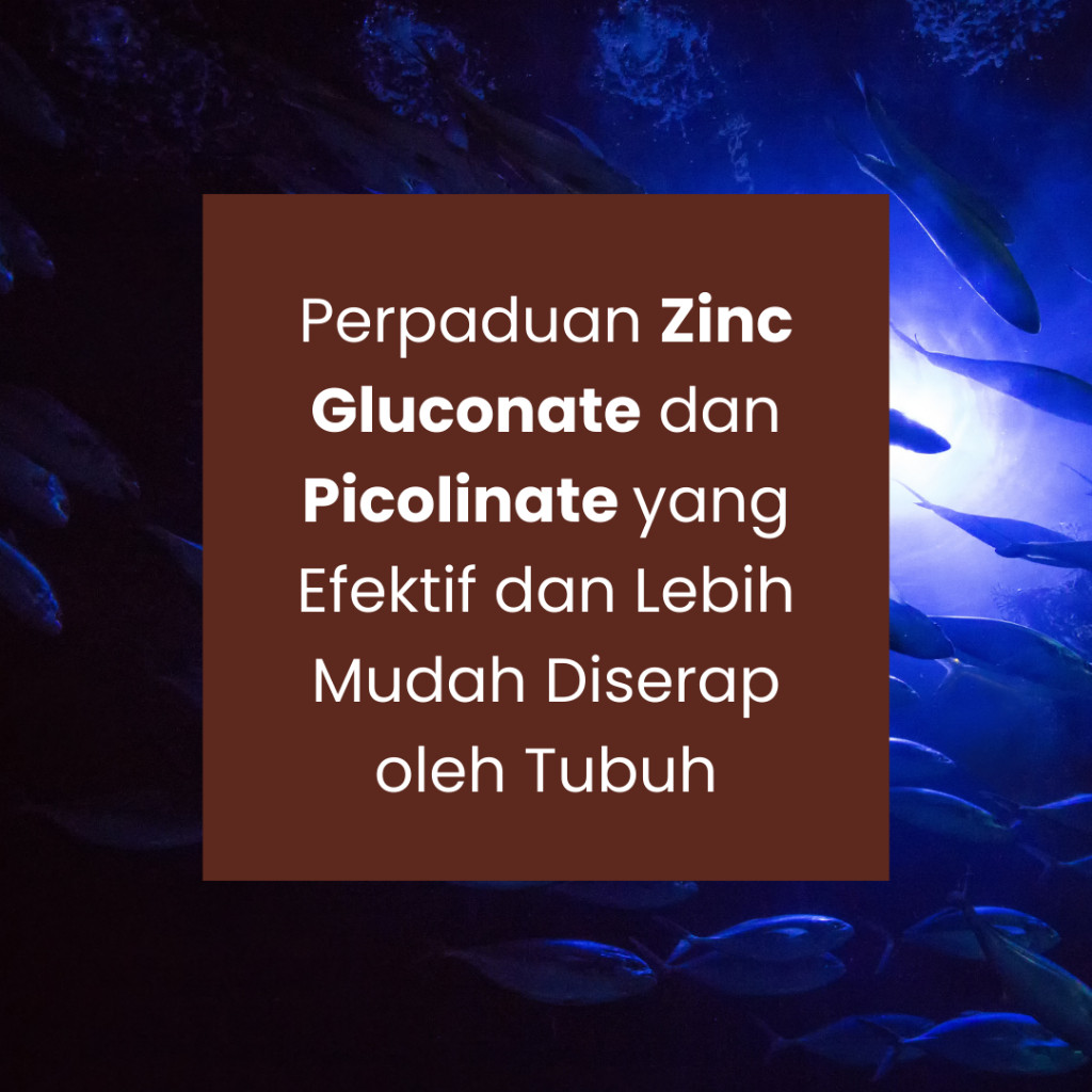 BES KESEHATAN ISI 30 KAPSUL - & COPPER - PICOLINATE